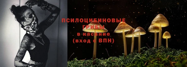 стаф Армянск
